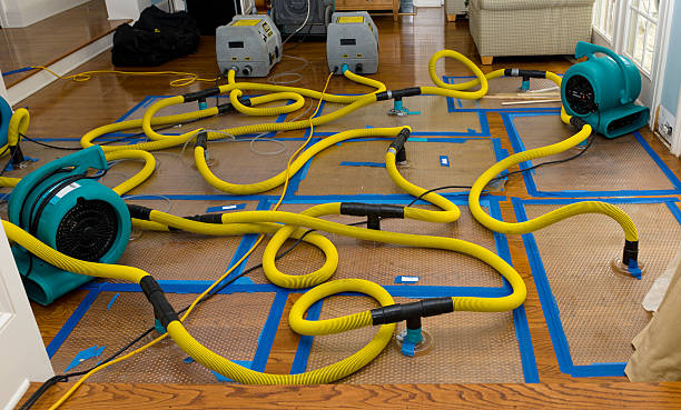 Professional Basement Flood Cleanup technician working in Savage, MD